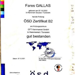 Ösd prüfung b2